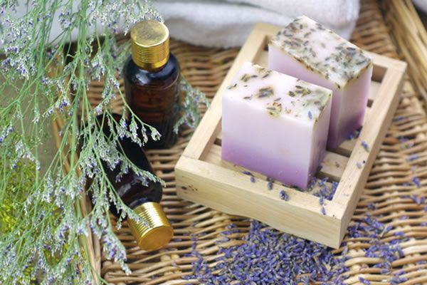 Kit Lavanda